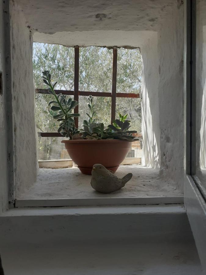 La Mia Dimora Villa Cocolicchio Luaran gambar